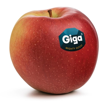 giga-rgb-label-ohne-plu
