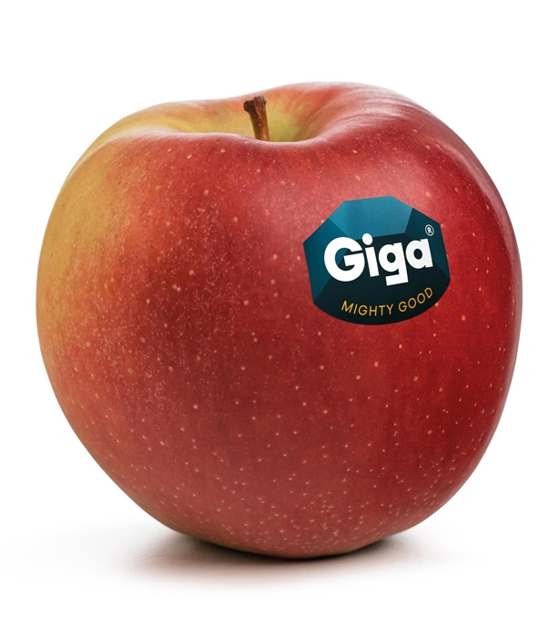 giga-rgb-label-ohne-num